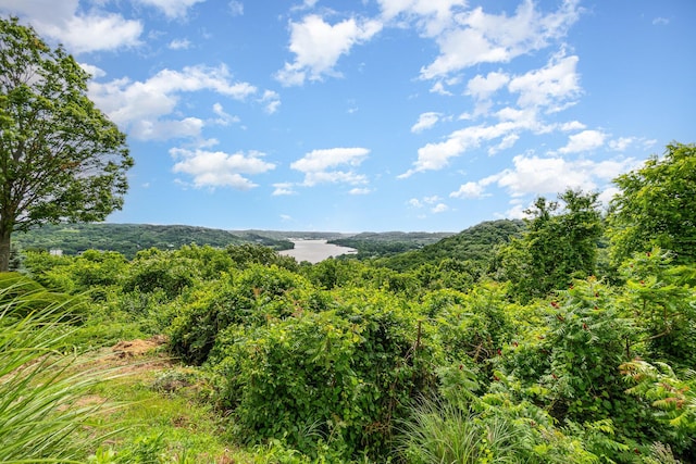 2316 Pinnacle Ct, Hebron, KY 41048 - mountain view with a heavily wooded area
