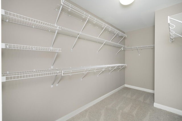 7864 Arcadia Blvd, Alexandria, KY 41001 - photo 23