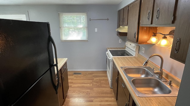 38 Carriage Hill Dr, Erlanger, KY 41018 - kitchen with freestanding refrigerator, white range with electric cooktop, ventilation hood, light wood-type flooring, and light countertops