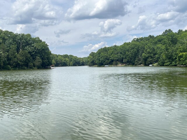 567 Rose Bourne Ln, Owenton, KY 40359 - water view featuring a forest