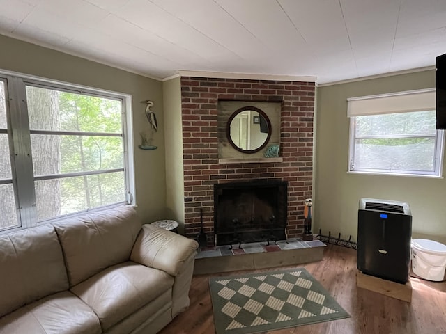 567 Rose Bourne Ln, Owenton, KY 40359 - living room with wood finished floors, plenty of natural light, a fireplace, and crown molding