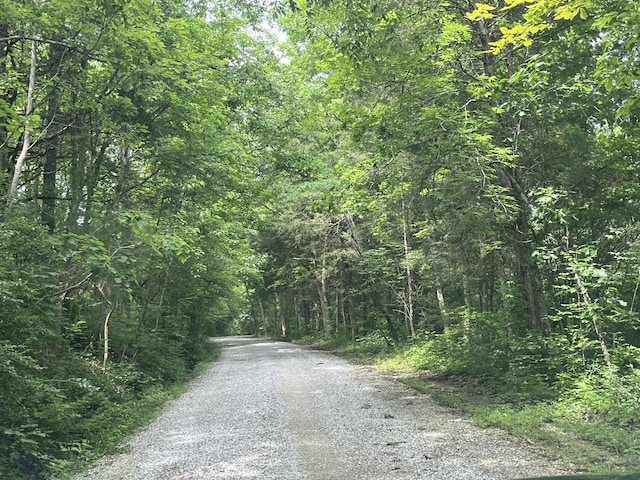 567 Rose Bourne Ln, Owenton, KY 40359 - view of dirt / gravel road with a forest view