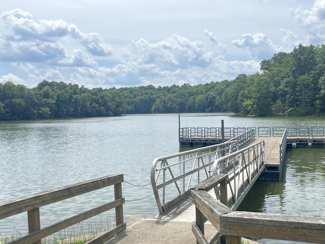 567 Rose Bourne Ln, Owenton, KY 40359 - dock area with a water view and a wooded view