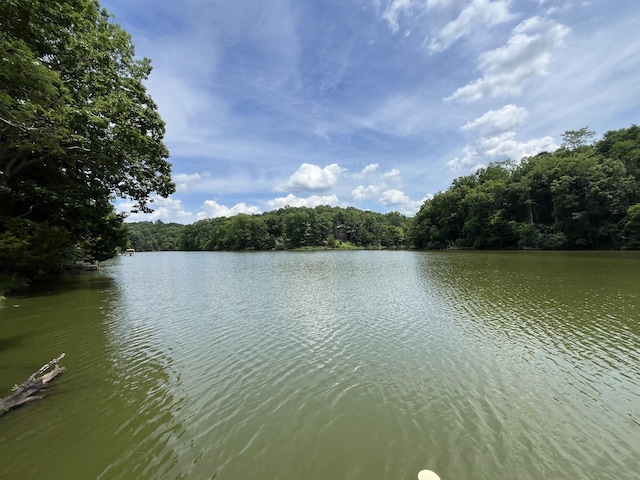 567 Rose Bourne Ln, Owenton, KY 40359 - water view featuring a forest