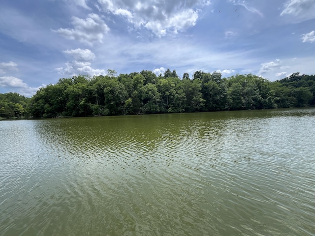 567 Rose Bourne Ln, Owenton, KY 40359 - water view with a forest