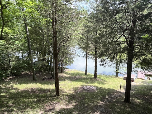567 Rose Bourne Ln, Owenton, KY 40359 - view of green lawn with a water view
