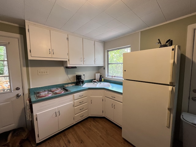 567 Rose Bourne Ln, Owenton, KY 40359 - kitchen with freestanding refrigerator, white cabinets, dark wood finished floors, and ornamental molding
