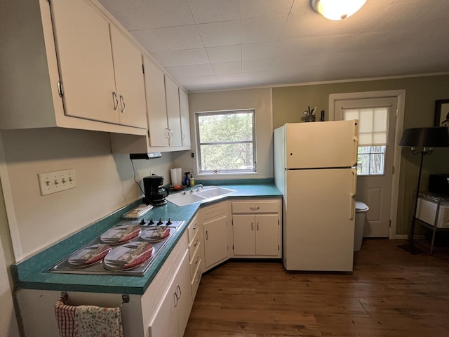 567 Rose Bourne Ln, Owenton, KY 40359 - kitchen with freestanding refrigerator, electric stovetop, white cabinets, dark wood finished floors, and crown molding