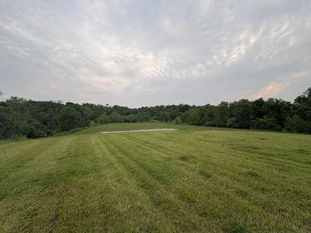 1477 Hands Pike, Covington, KY 41017 - photo 34