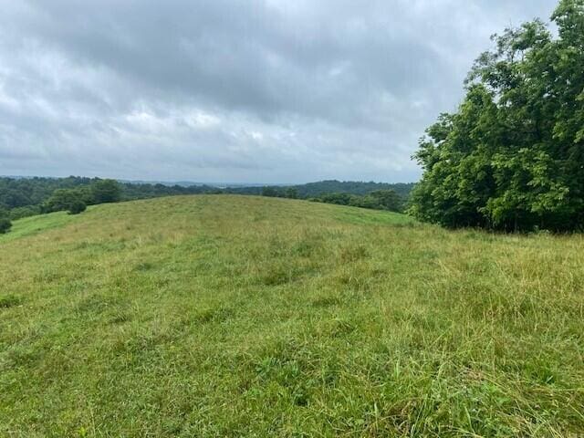2272 Mount Tabor Rd, Ewing, KY 41039