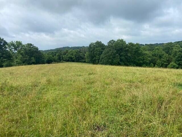 2272 Mount Tabor Rd, Ewing, KY 41039