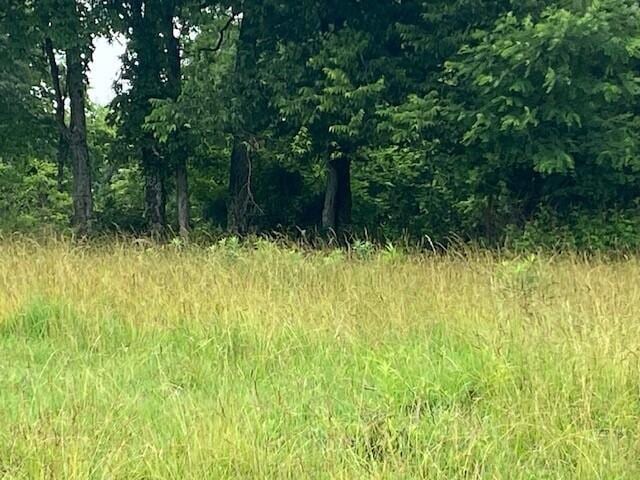 2272 Mount Tabor Rd, Ewing, KY 41039