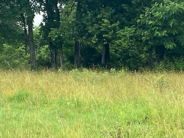 2272 Mount Tabor Rd, Ewing, KY 41039