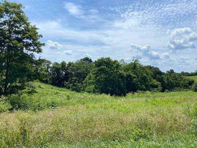 2272 Mount Tabor Rd, Ewing, KY 41039