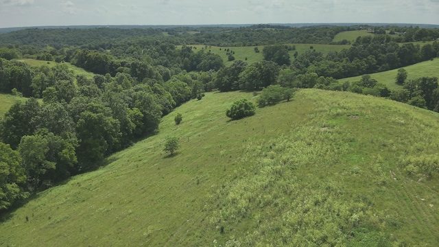 2272 Mount Tabor Rd, Ewing, KY 41039