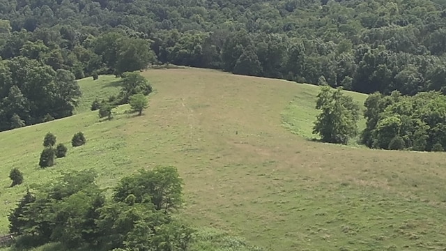 2272 Mount Tabor Rd, Ewing, KY 41039