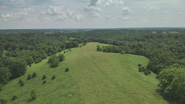 2272 Mount Tabor Rd, Ewing, KY 41039