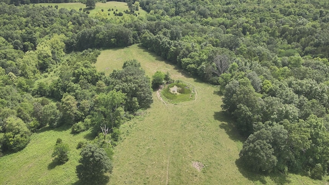 2272 Mount Tabor Rd, Ewing, KY 41039
