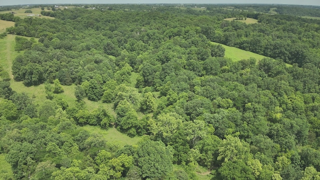 2272 Mount Tabor Rd, Ewing, KY 41039