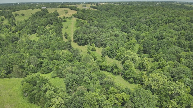 2272 Mount Tabor Rd, Ewing, KY 41039