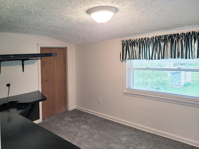 107 Timberlake Ave, Erlanger, KY 41018 - unfurnished office with carpet flooring, a textured ceiling, and vaulted ceiling