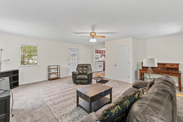 112 Valley Dr, Florence, KY 41042 - photo 8