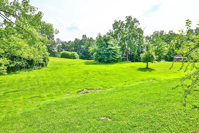 1710 Hilltop Dr, Carrollton, KY 41008 - view of green lawn