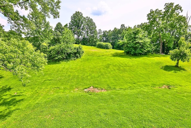 1710 Hilltop Dr, Carrollton, KY 41008 - view of grassy yard