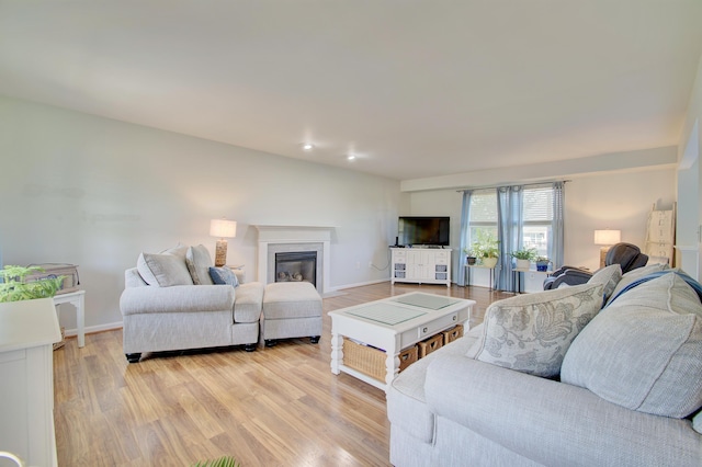 1025 Wakefield Ct, Hebron, KY 41048 - living area with a glass covered fireplace and light wood-style floors