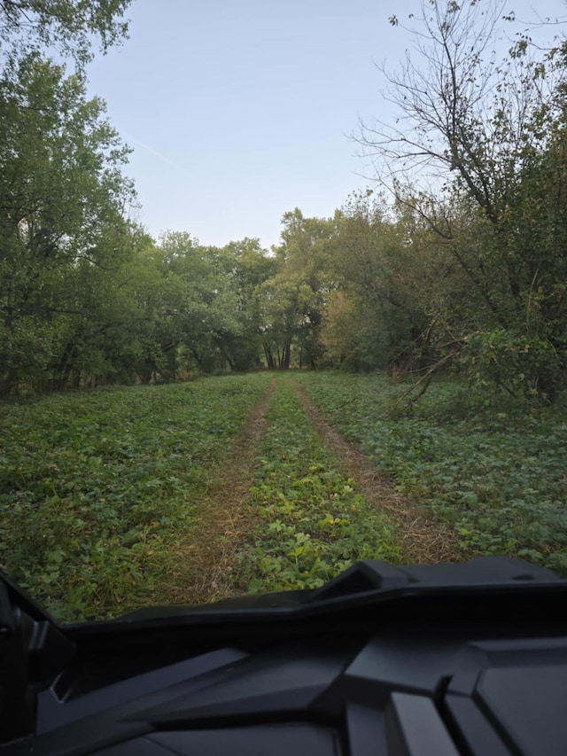 604 Rifle Range Rd, Alexandria, KY 41001 - view of yard featuring a view of trees