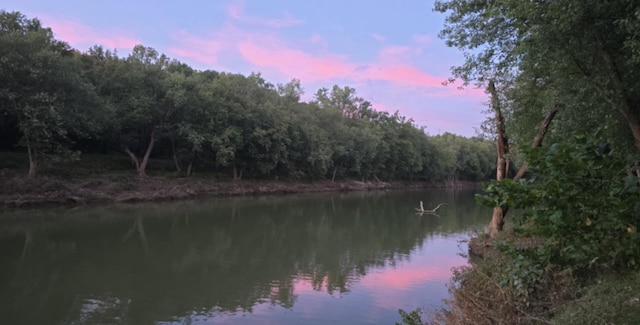 604 Rifle Range Rd, Alexandria, KY 41001 - water view with a forest