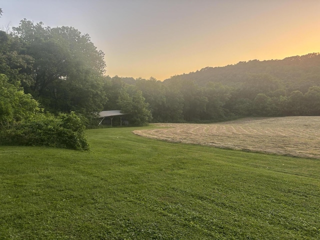 604 Rifle Range Rd, Alexandria, KY 41001 - view of green lawn with a wooded view