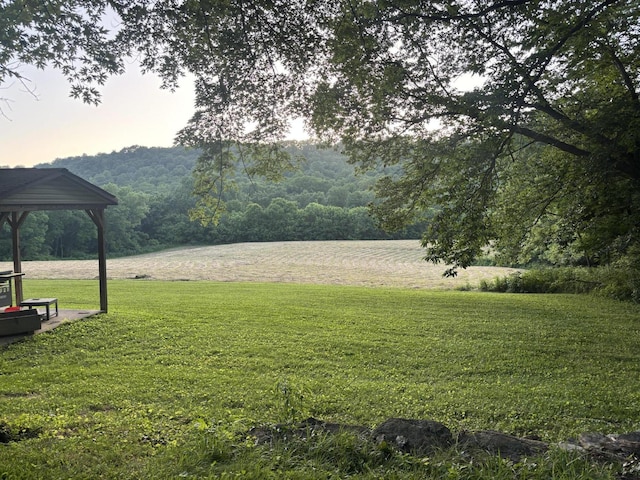604 Rifle Range Rd, Alexandria, KY 41001 - view of green lawn with a gazebo