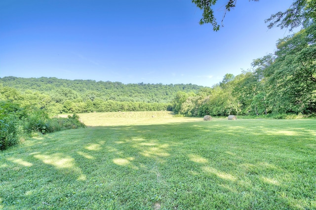 604 Rifle Range Rd, Alexandria, KY 41001 - view of green lawn featuring a view of trees