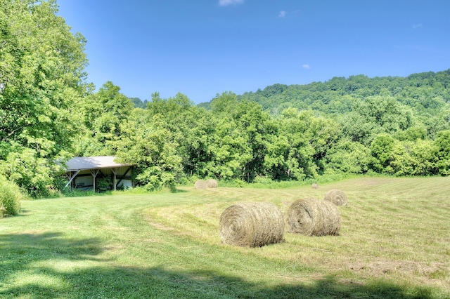 604 Rifle Range Rd, Alexandria, KY 41001 - view of grassy yard with a wooded view