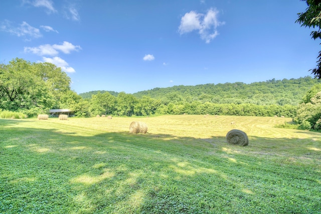 604 Rifle Range Rd, Alexandria, KY 41001 - view of grassy yard with a forest view