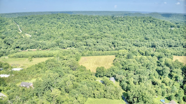 604 Rifle Range Rd, Alexandria, KY 41001 - aerial view of property and surrounding area with a heavily wooded area