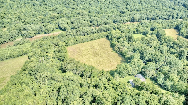 604 Rifle Range Rd, Alexandria, KY 41001 - view of property location with a heavily wooded area
