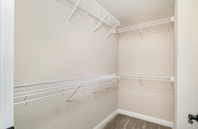 3020 Toulouse Dr, Union, KY 41091 - walk in closet with carpet flooring