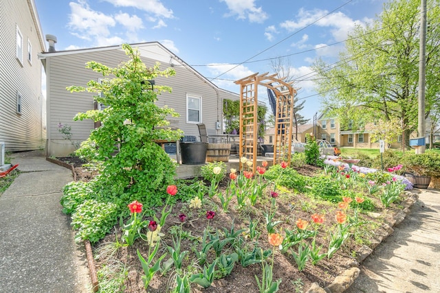 305 Helen St, Ludlow, KY 41016 - view of yard