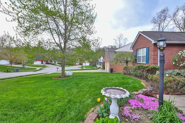 6315 Baymiller Ln, Burlington, KY 41005 - view of grassy yard