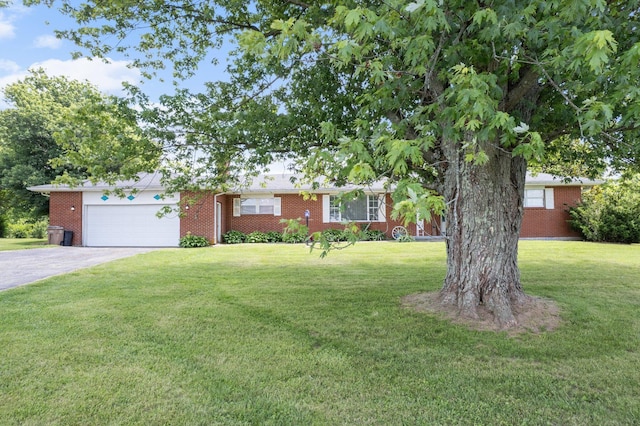 3348 Slack Pike, Maysville, KY 41056 - photo 2