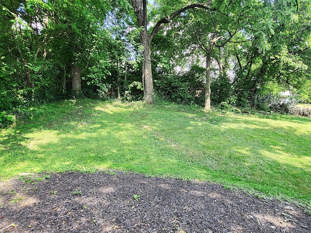 635 Willow St, Elsmere, KY 41018 - view of green lawn
