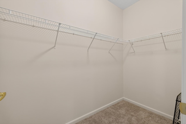523 Ivy Ridge Dr, Cold Spring, KY 41076 - spacious closet with carpet flooring