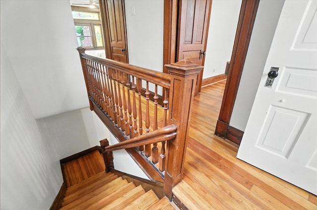 18 Butler St, Ludlow, KY 41016 - photo 28