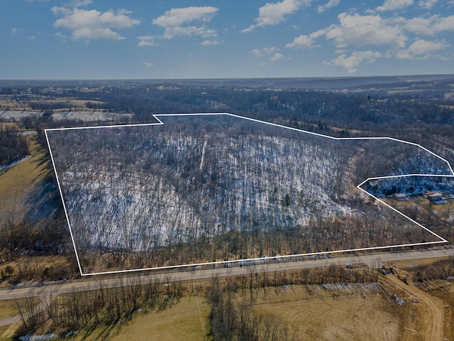 2407 Beaver Rd Unit B, Union, KY 41091 - photo 2