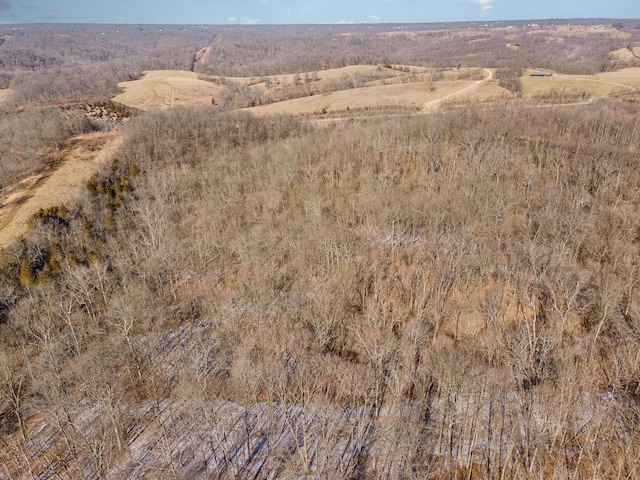 2407 Beaver Rd Unit B, Union, KY 41091 - photo 10