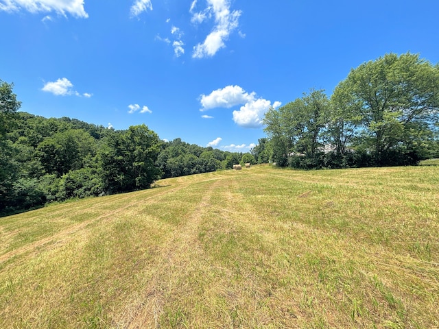 3445 Crittenden Mount Zion Rd, Dry Ridge, KY 41035 - view of green lawn featuring a view of rural / pastoral area and a forest view