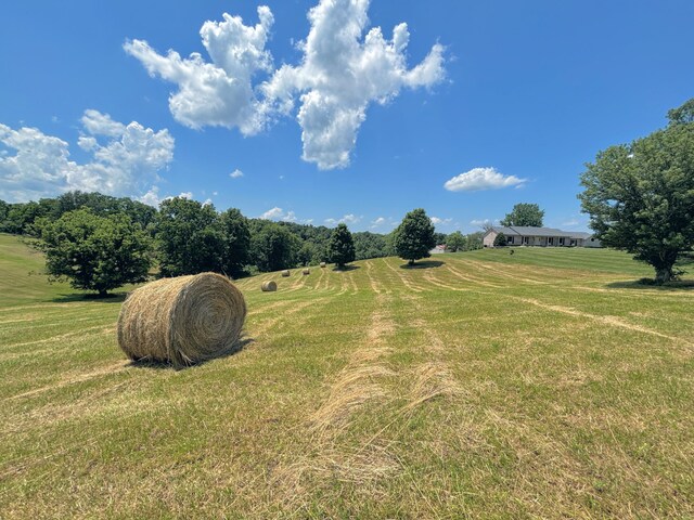 3445 Crittenden Mount Zion Rd, Dry Ridge, KY 41035 - view of grassy yard with a view of countryside