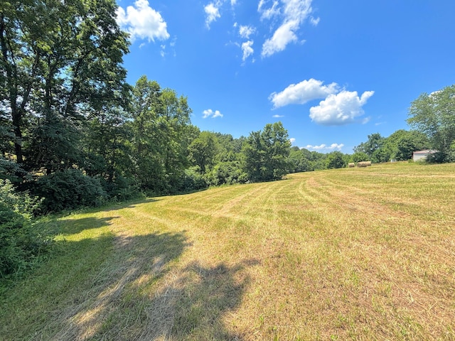 3445 Crittenden Mount Zion Rd, Dry Ridge, KY 41035 - view of green lawn featuring a view of rural / pastoral area and a wooded view
